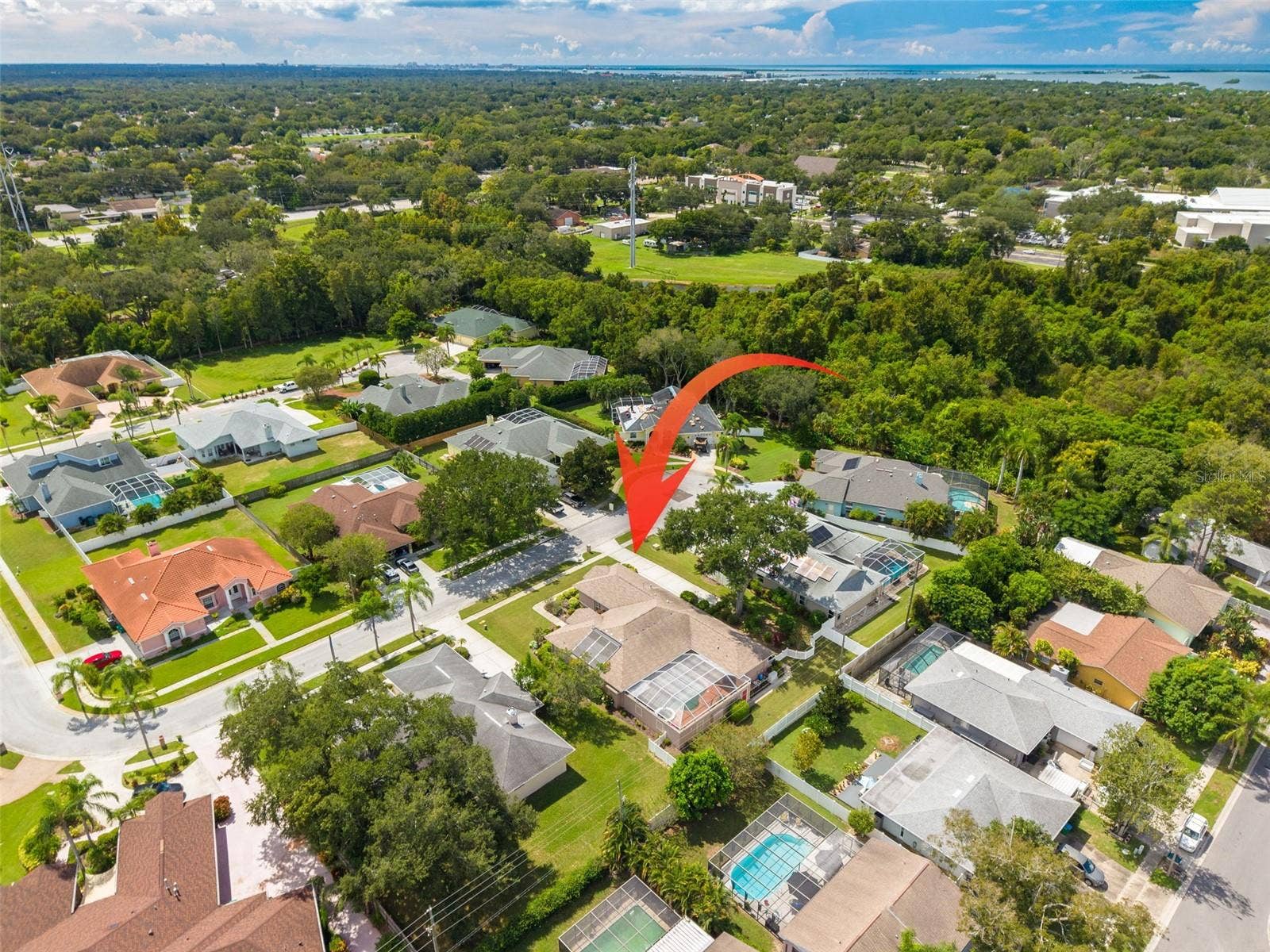 1555 SUNRAY DRIVE, Palm Harbor, FL 34683