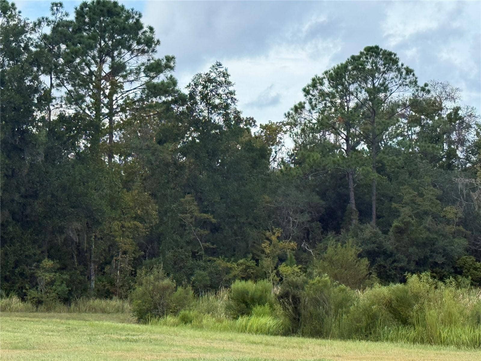 10855 W HOMOSASSA TRAIL, Homosassa, FL 34448