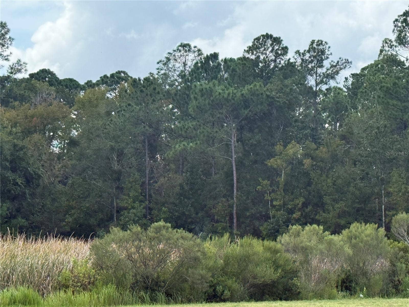 10855 W HOMOSASSA TRAIL, Homosassa, FL 34448
