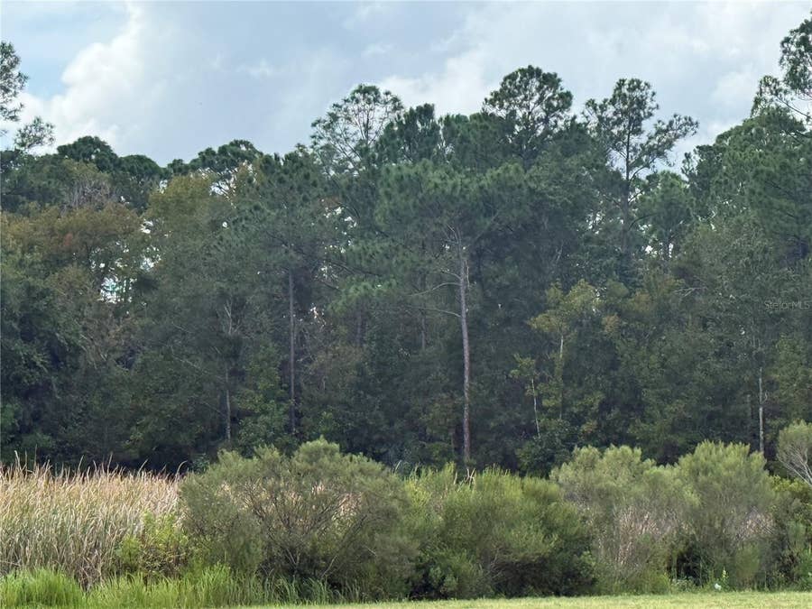 Property photo for 10855 W HOMOSASSA TRAIL, Homosassa, FL