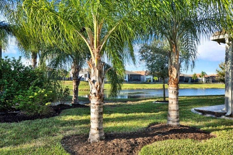 4923 PAMPLONA COURT, Wimauma, FL 33598