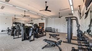 4363 CAIROLI COURT, Wesley Chapel, FL 33543