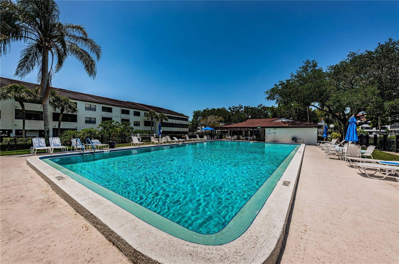 2591 COUNTRYSIDE BOULEVARD, #5106, Clearwater, FL 33761 2591 COUNTRYSIDE BOULEVARD, #5106, Clearwater, FL 33761