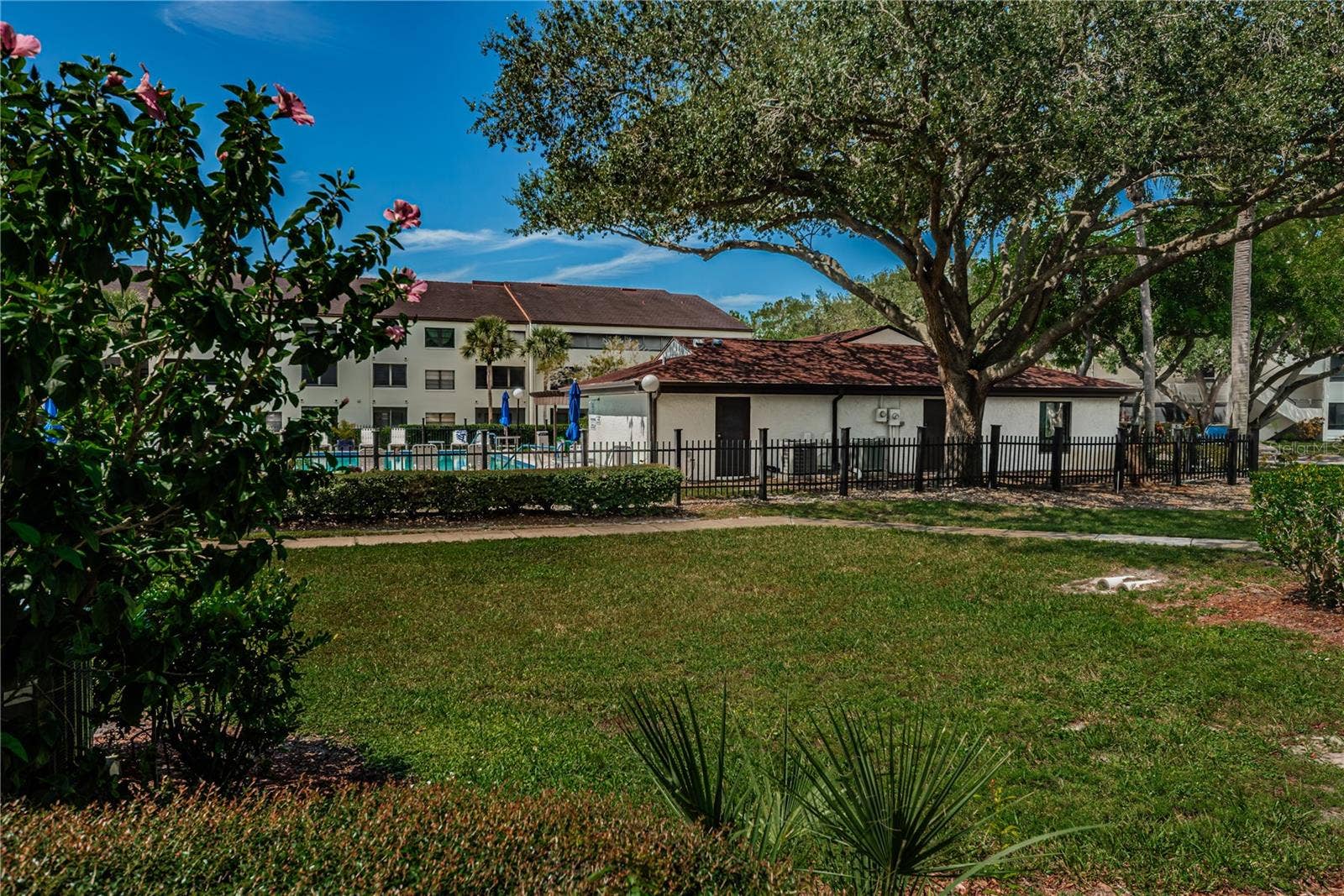 2591 COUNTRYSIDE BOULEVARD, #5106, Clearwater, FL 33761 2591 COUNTRYSIDE BOULEVARD, #5106, Clearwater, FL 33761