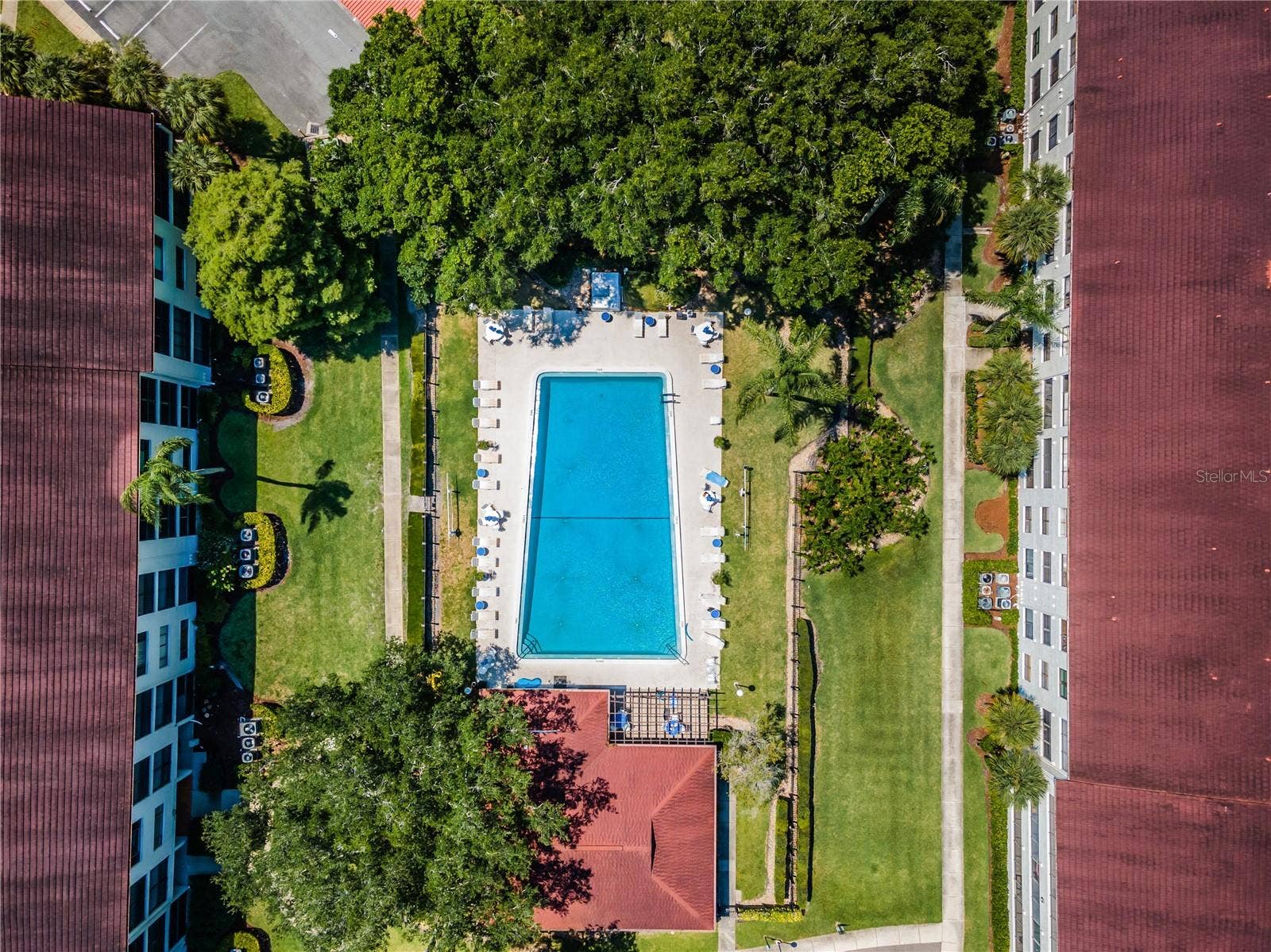 2591 COUNTRYSIDE BOULEVARD, #5106, Clearwater, FL 33761 2591 COUNTRYSIDE BOULEVARD, #5106, Clearwater, FL 33761