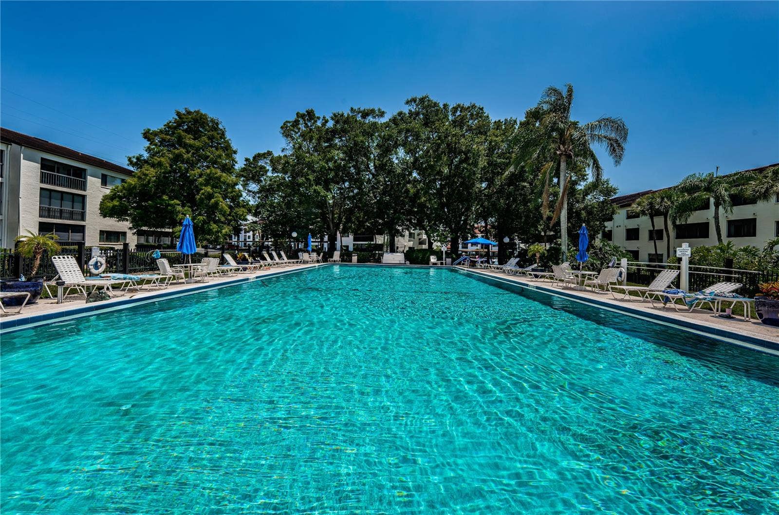 2591 COUNTRYSIDE BOULEVARD, #5106, Clearwater, FL 33761 2591 COUNTRYSIDE BOULEVARD, #5106, Clearwater, FL 33761