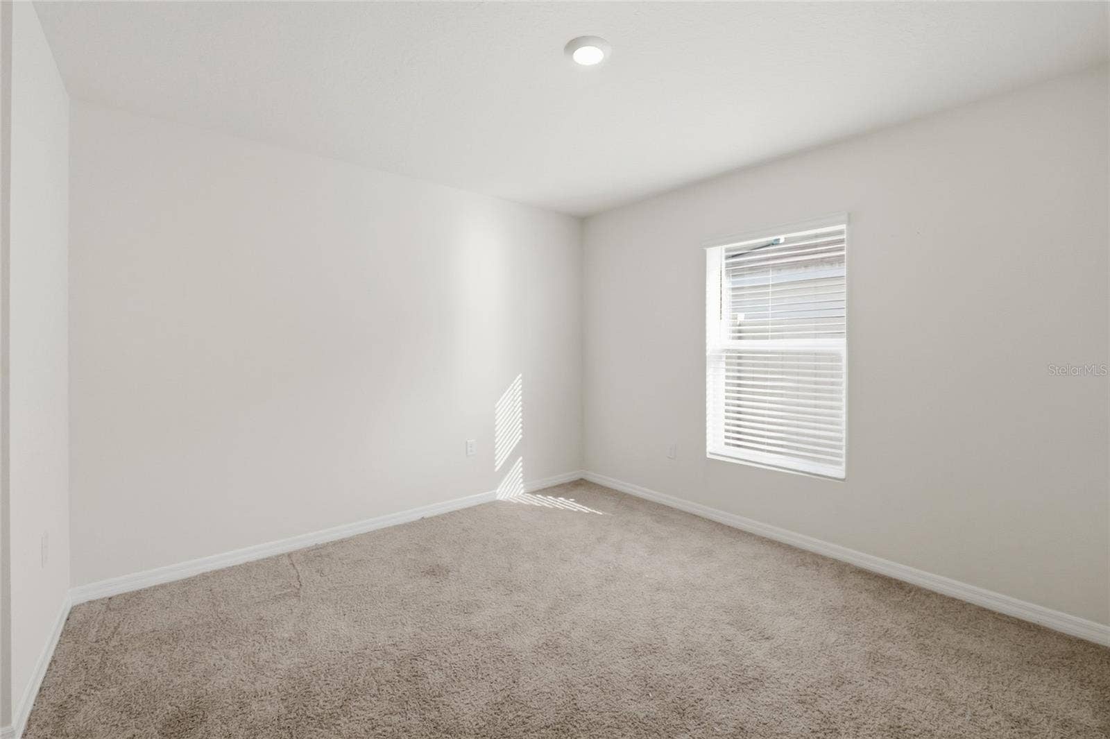 11805 DOWNY BIRCH DRIVE, Riverview, FL 33569 11805 DOWNY BIRCH DRIVE, Riverview, FL 33569