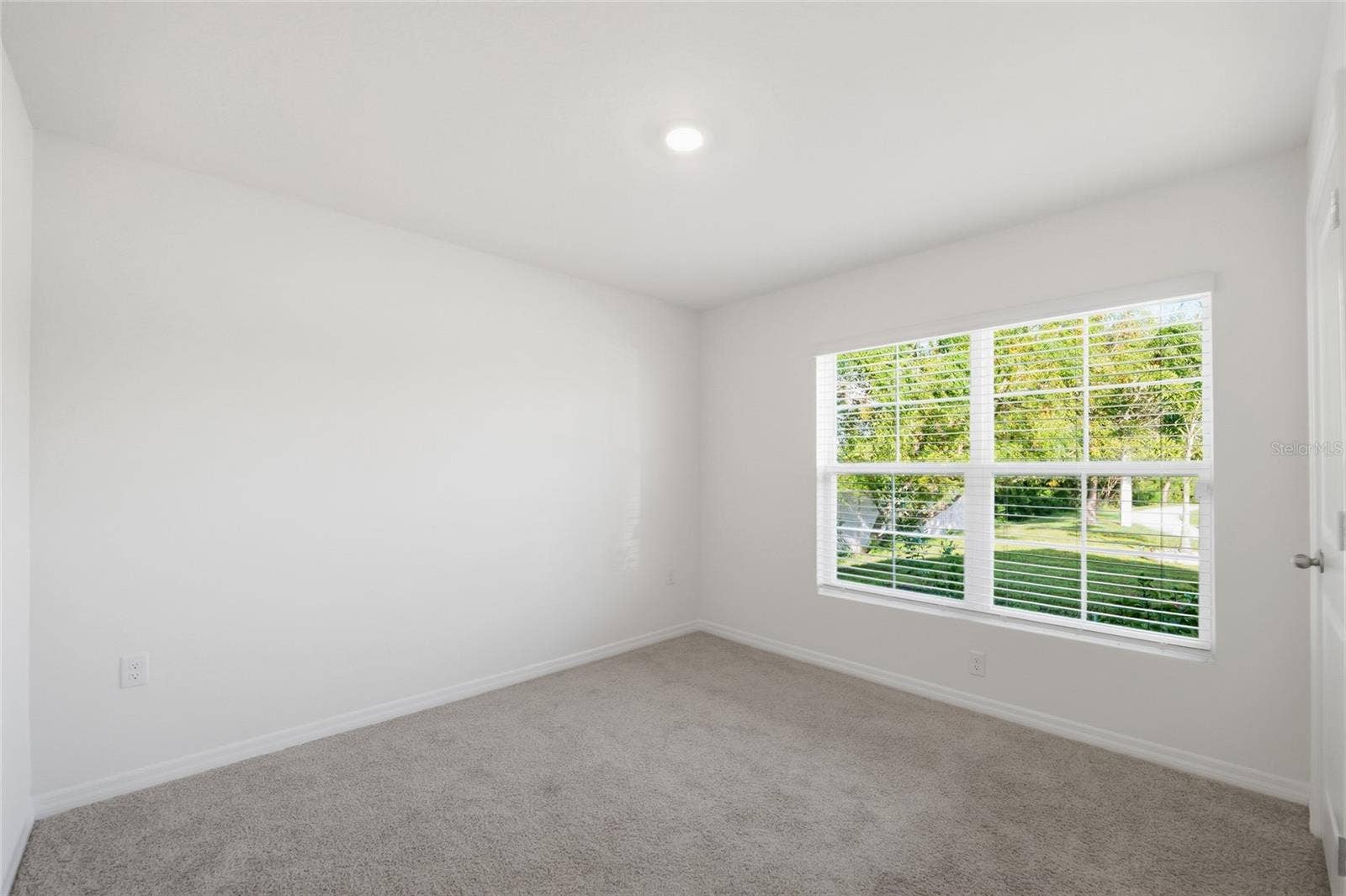 11805 DOWNY BIRCH DRIVE, Riverview, FL 33569 11805 DOWNY BIRCH DRIVE, Riverview, FL 33569