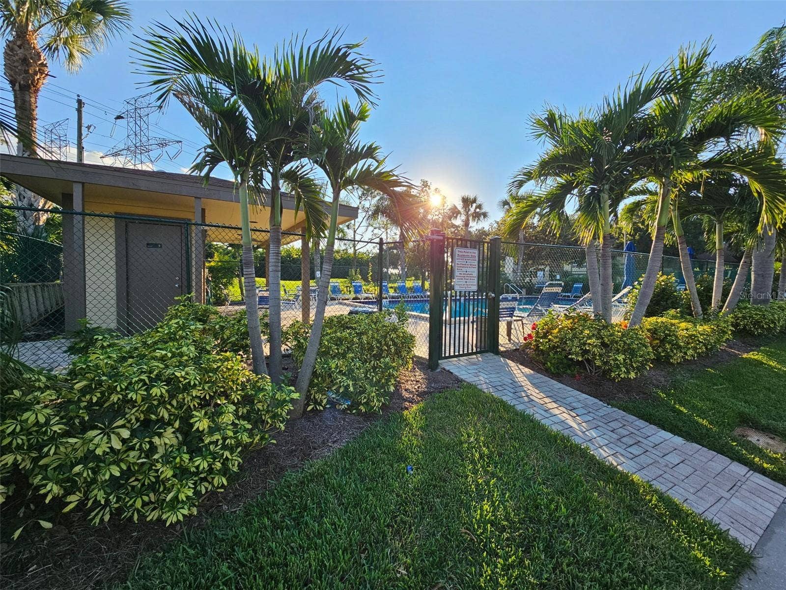 261 WOODLAKE WYNDE, #261, Oldsmar, FL 34677