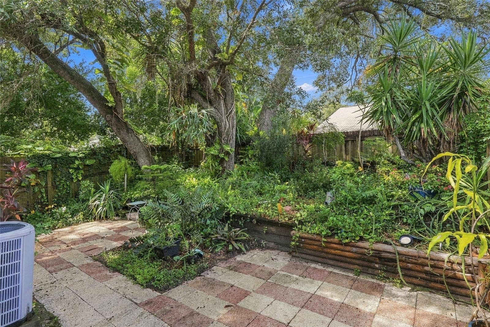 1111 THAYER STREET, #1111, Safety Harbor, FL 34695 Terraced Backyard