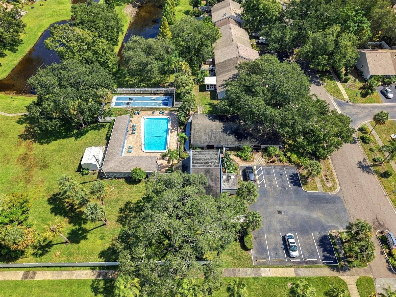 1111 THAYER STREET, #1111, Safety Harbor, FL 34695 Pool area