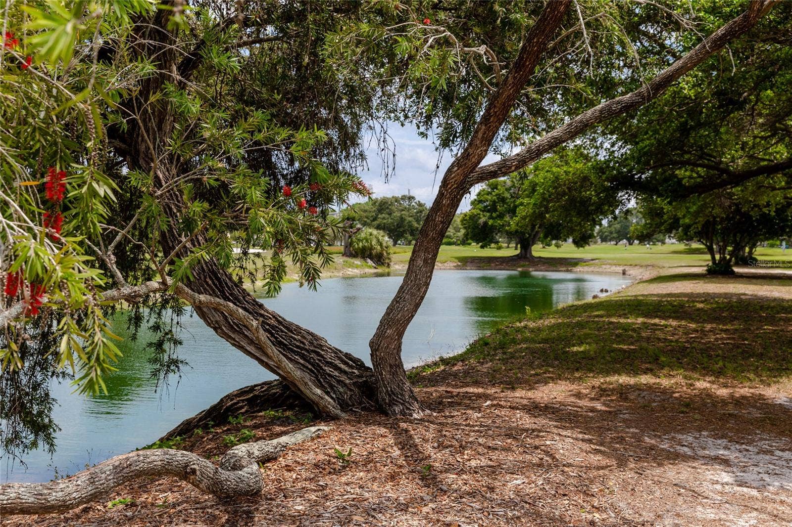 2042 AUSTRALIA WAY W, #76, Clearwater, FL 33763 2042 AUSTRALIA WAY W, #76, Clearwater, FL 33763