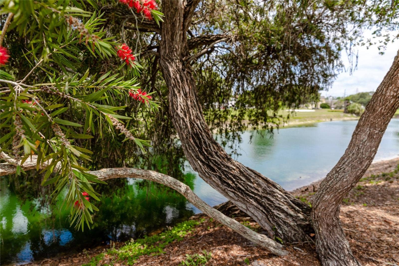 2042 AUSTRALIA WAY W, #76, Clearwater, FL 33763 2042 AUSTRALIA WAY W, #76, Clearwater, FL 33763