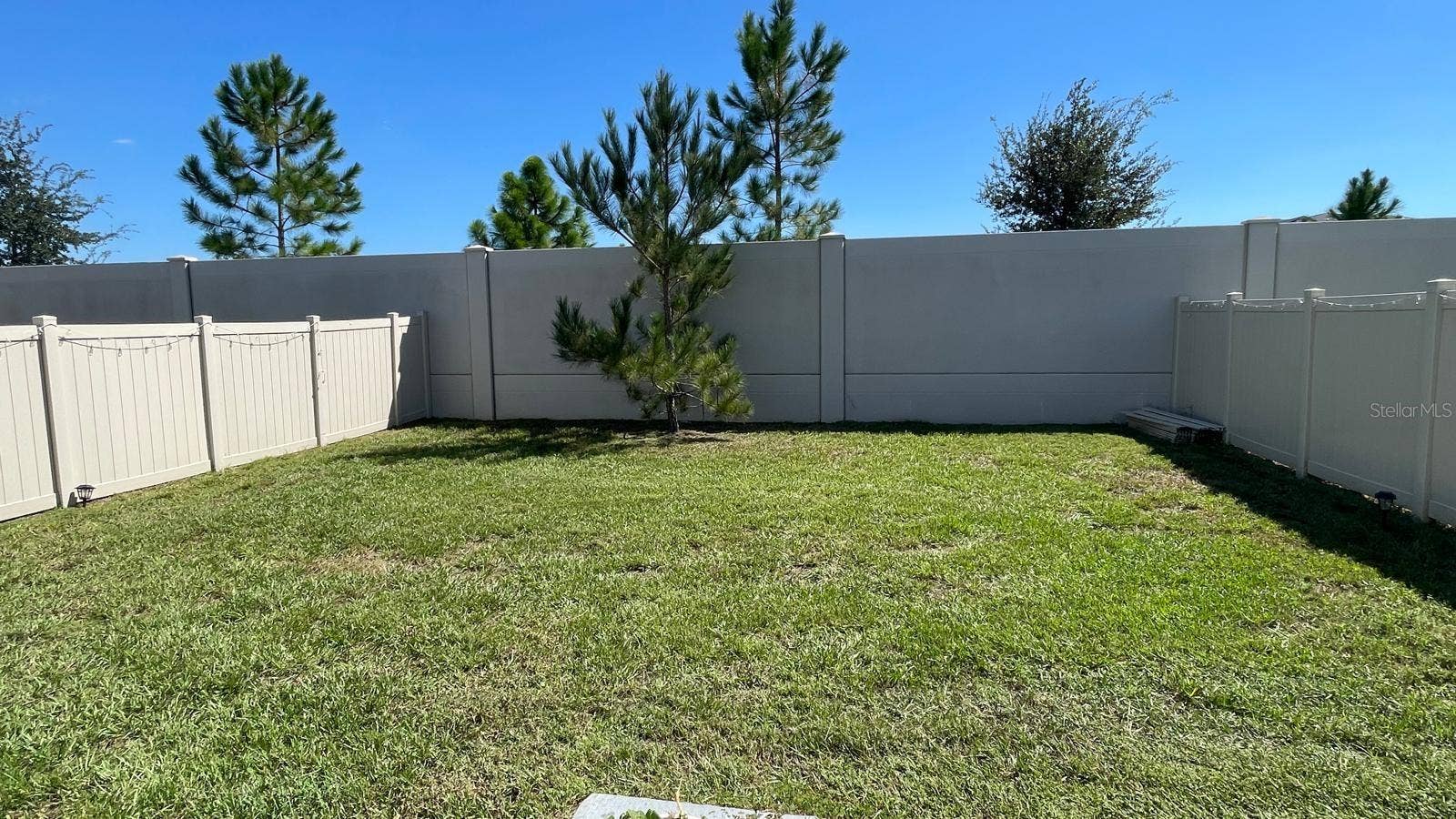 36117 SUNFLOWER HILL DRIVE, Zephyrhills, FL 33541 Backyard