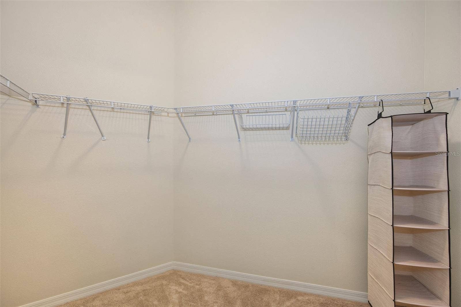 8406 TERRACE MEADOWS COURT, Temple Terrace, FL 33637
