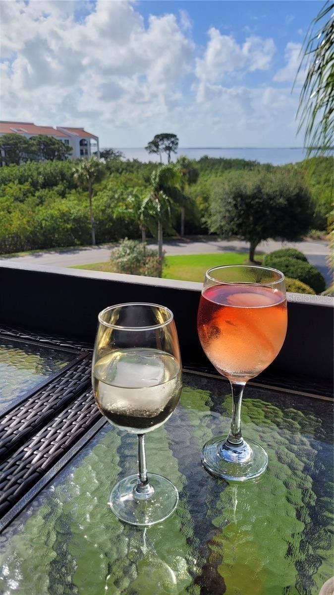 1806 MARINER DRIVE, #318, Tarpon Springs, FL 34689 to a shared evening's glass of wine...
