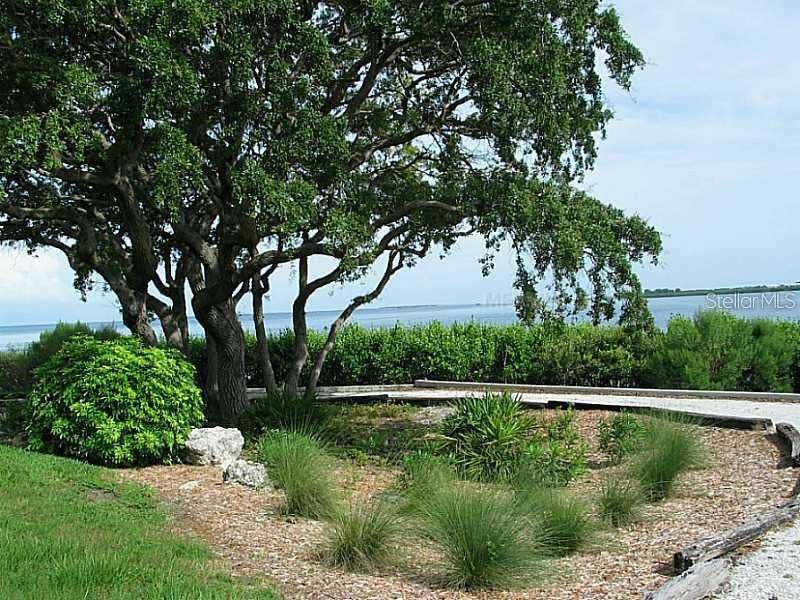1806 MARINER DRIVE, #318, Tarpon Springs, FL 34689 Enjoy the tranquility and serenity on a crushed shell nature path along the Gulf on your morning or evening walks.