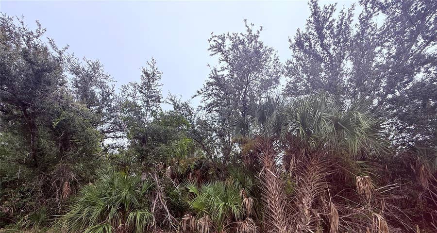 Property photo for 4909 CORSICA DRIVE, Sebring, FL