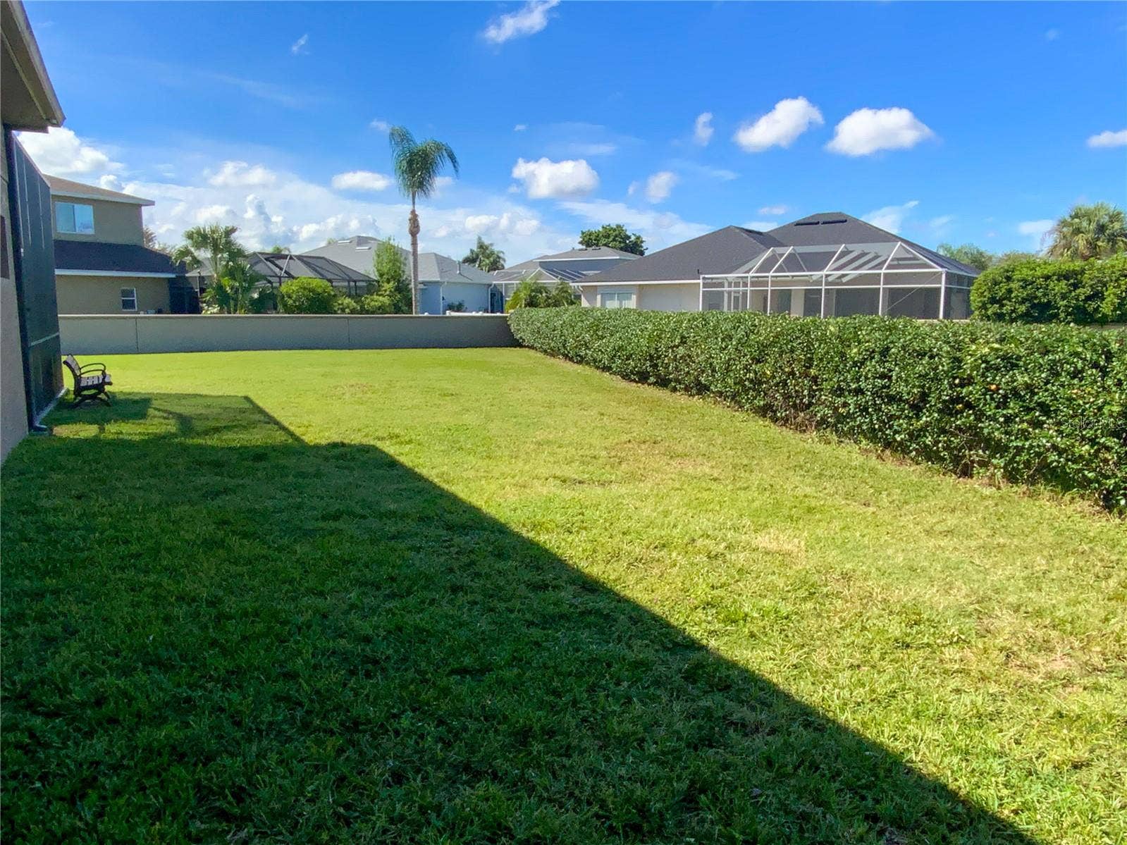 Rear Yard