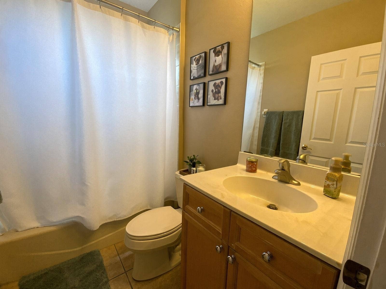 10528 GOOSEBERRY COURT, Trinity, FL 34655