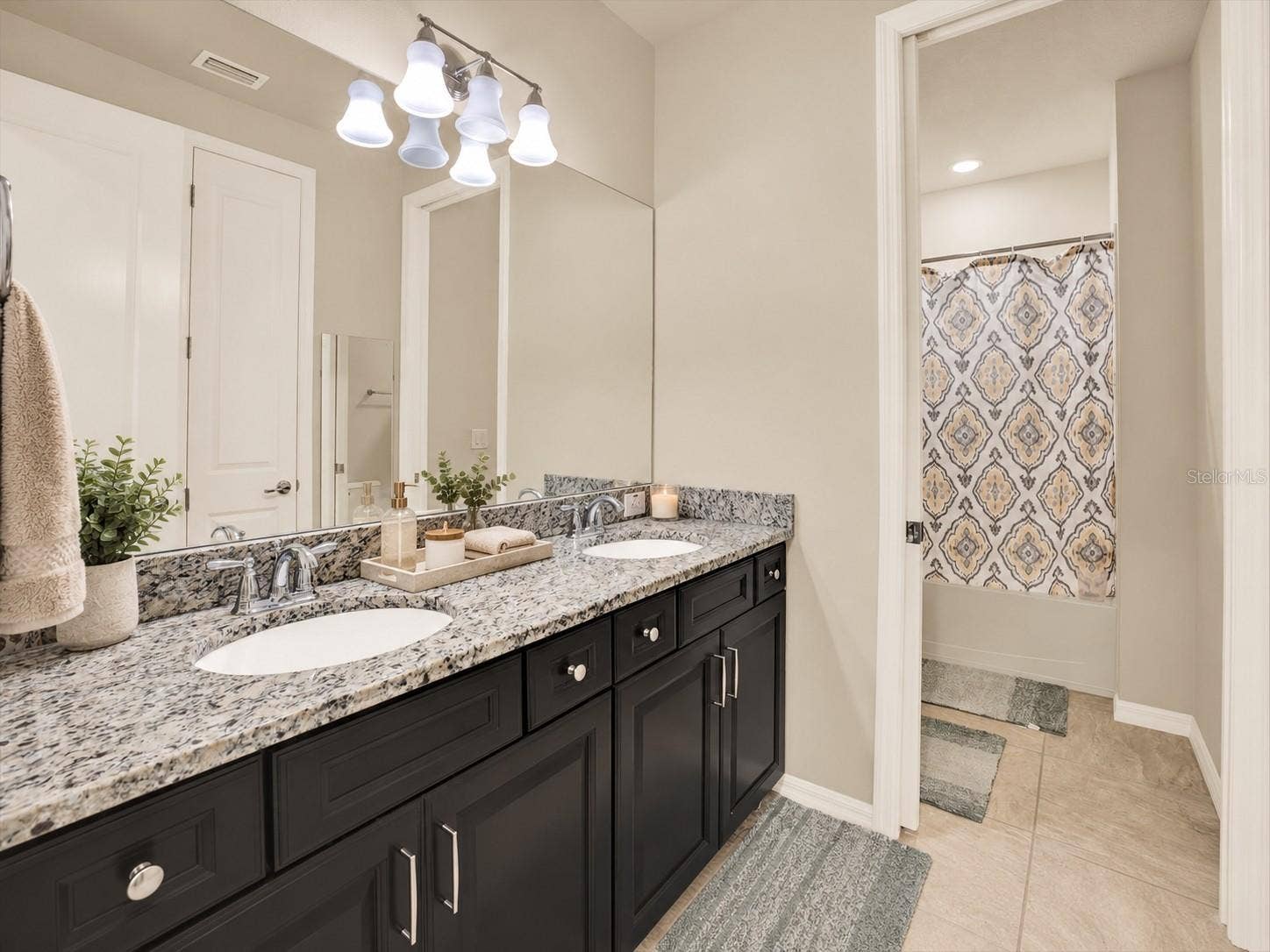 18738 BIRCHWOOD GROVES DRIVE, Lutz, FL 33558 18738 BIRCHWOOD GROVES DRIVE, Lutz, FL 33558
