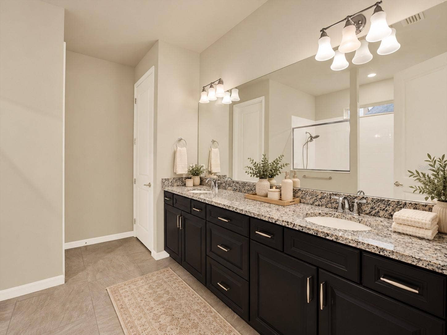 18738 BIRCHWOOD GROVES DRIVE, Lutz, FL 33558 18738 BIRCHWOOD GROVES DRIVE, Lutz, FL 33558