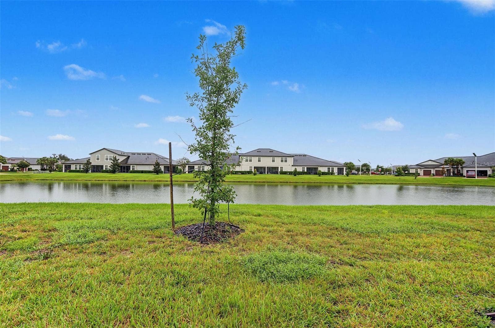 10191 ECHO DOCK LOOP, San Antonio, FL 33576 10191 ECHO DOCK LOOP, San Antonio, FL 33576