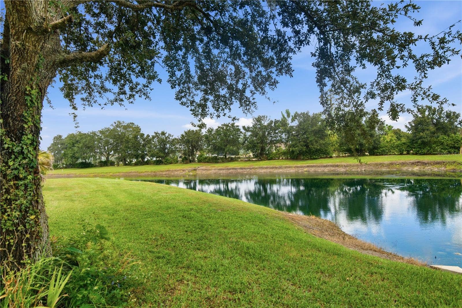 19930 DOLORES ANN COURT, Lutz, FL 33549