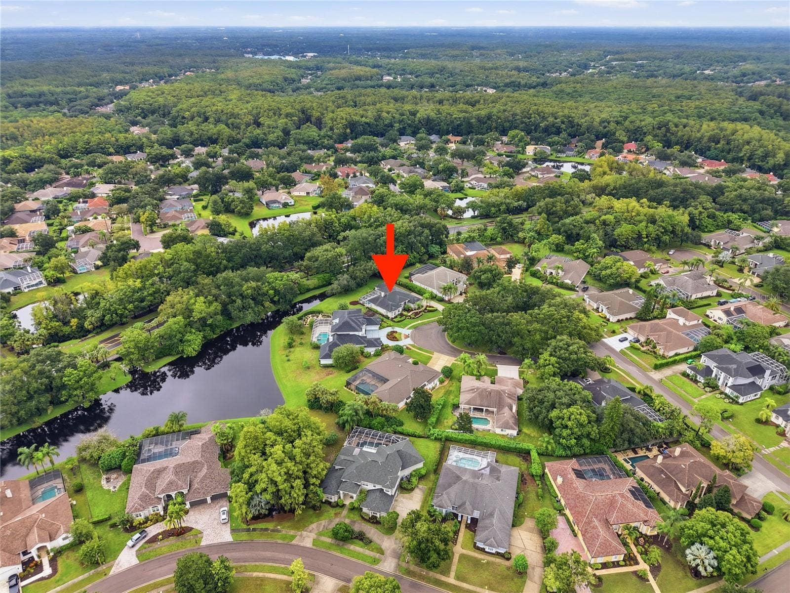 4034 EXECUTIVE DRIVE, Palm Harbor, FL 34685 4034 EXECUTIVE DRIVE, Palm Harbor, FL 34685