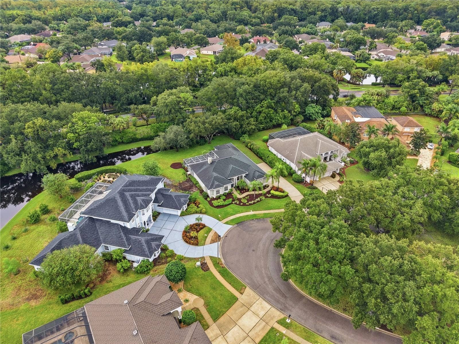 4034 EXECUTIVE DRIVE, Palm Harbor, FL 34685 4034 EXECUTIVE DRIVE, Palm Harbor, FL 34685