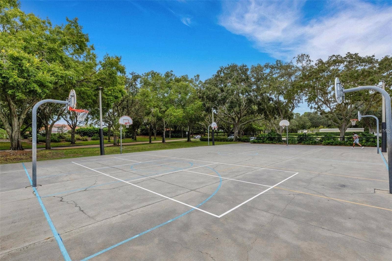 4034 EXECUTIVE DRIVE, Palm Harbor, FL 34685 4034 EXECUTIVE DRIVE, Palm Harbor, FL 34685