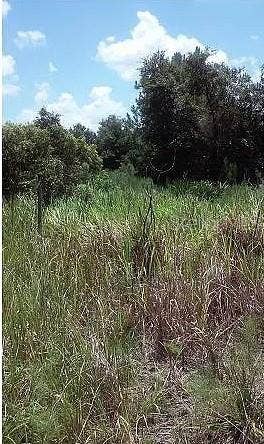 5570 JUEL GILL ROAD, Myakka City, FL 34251 5570 JUEL GILL ROAD, Myakka City, FL 34251