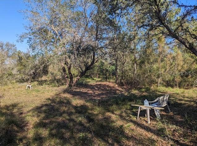 5570 JUEL GILL ROAD, Myakka City, FL 34251 5570 JUEL GILL ROAD, Myakka City, FL 34251