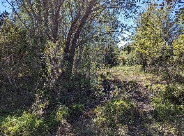 5570 JUEL GILL ROAD, Myakka City, FL 34251 5570 JUEL GILL ROAD, Myakka City, FL 34251