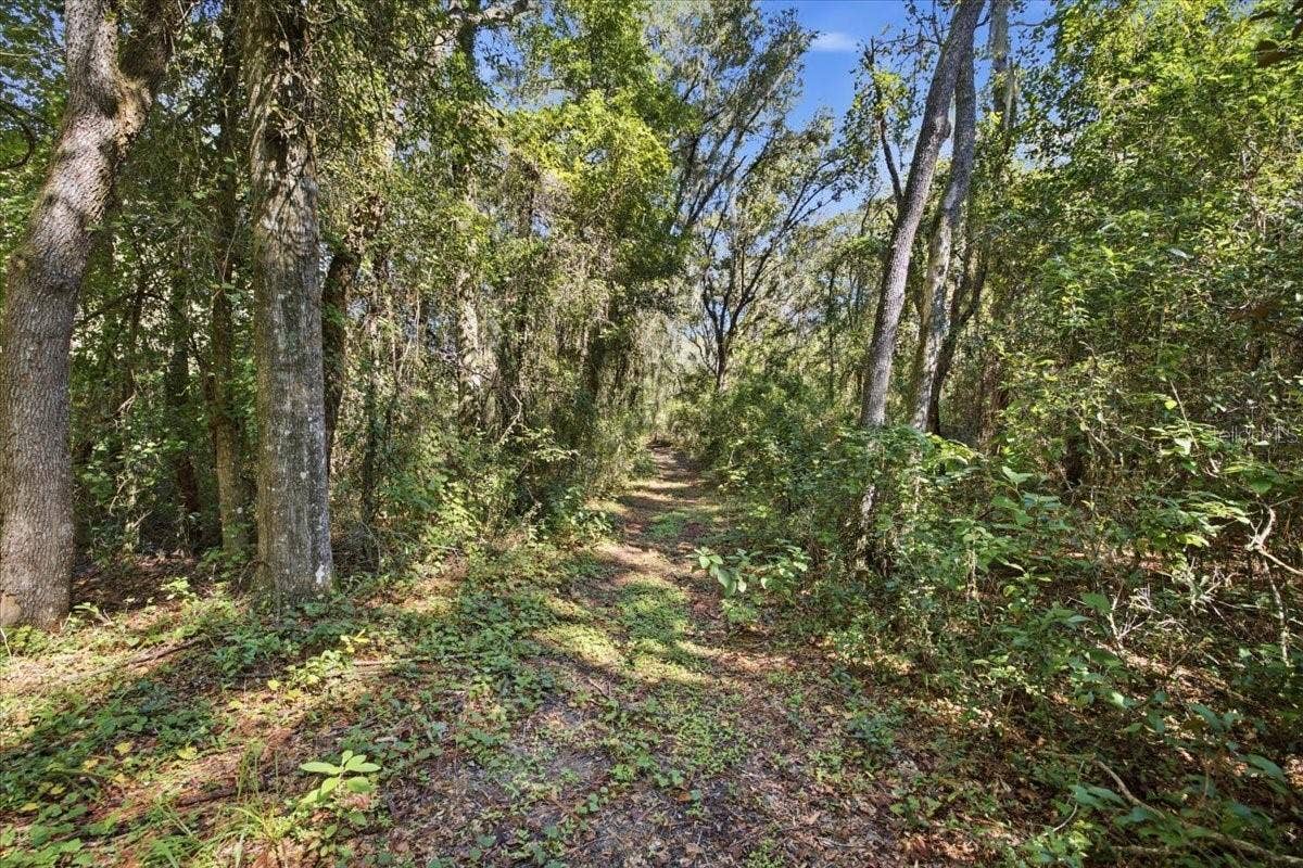 10149 ROCKBAY ROAD, Brooksville, FL 34601 Trails that wind through the wooded section of the property