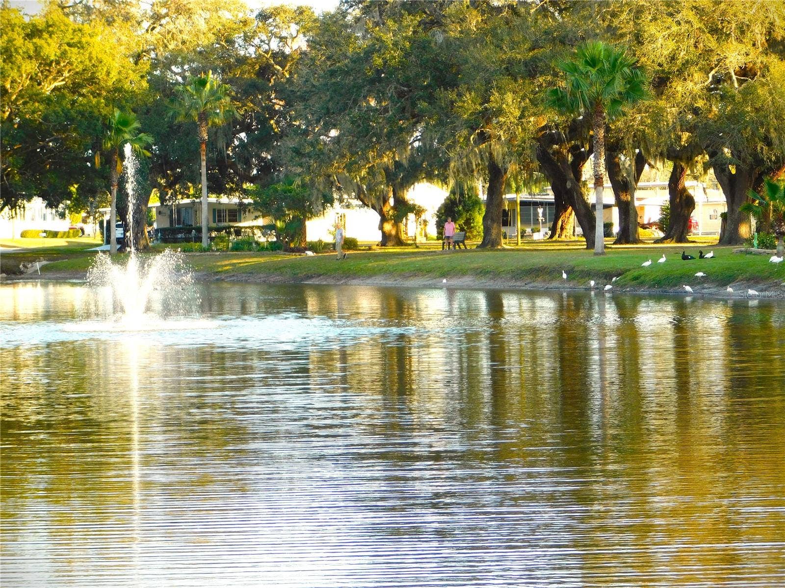5716 PAWNEE STREET, Zephyrhills, FL 33542 5716 PAWNEE STREET, Zephyrhills, FL 33542