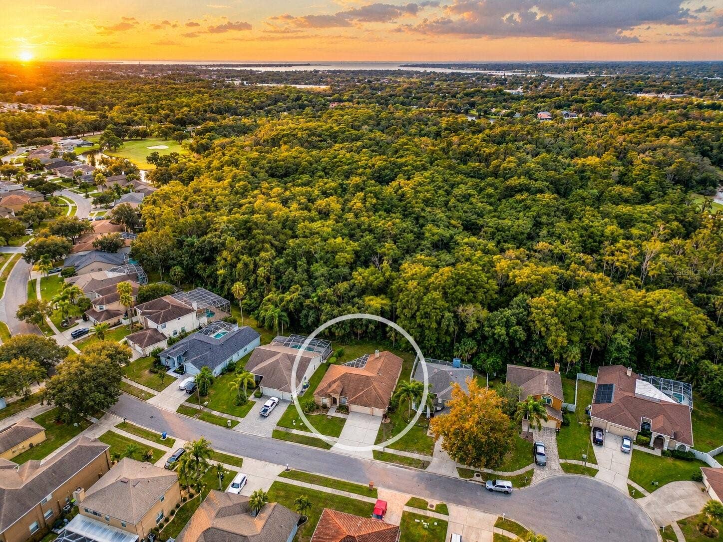 4798 AUGUSTA AVENUE, Oldsmar, FL 34677 4798 AUGUSTA AVENUE, Oldsmar, FL 34677