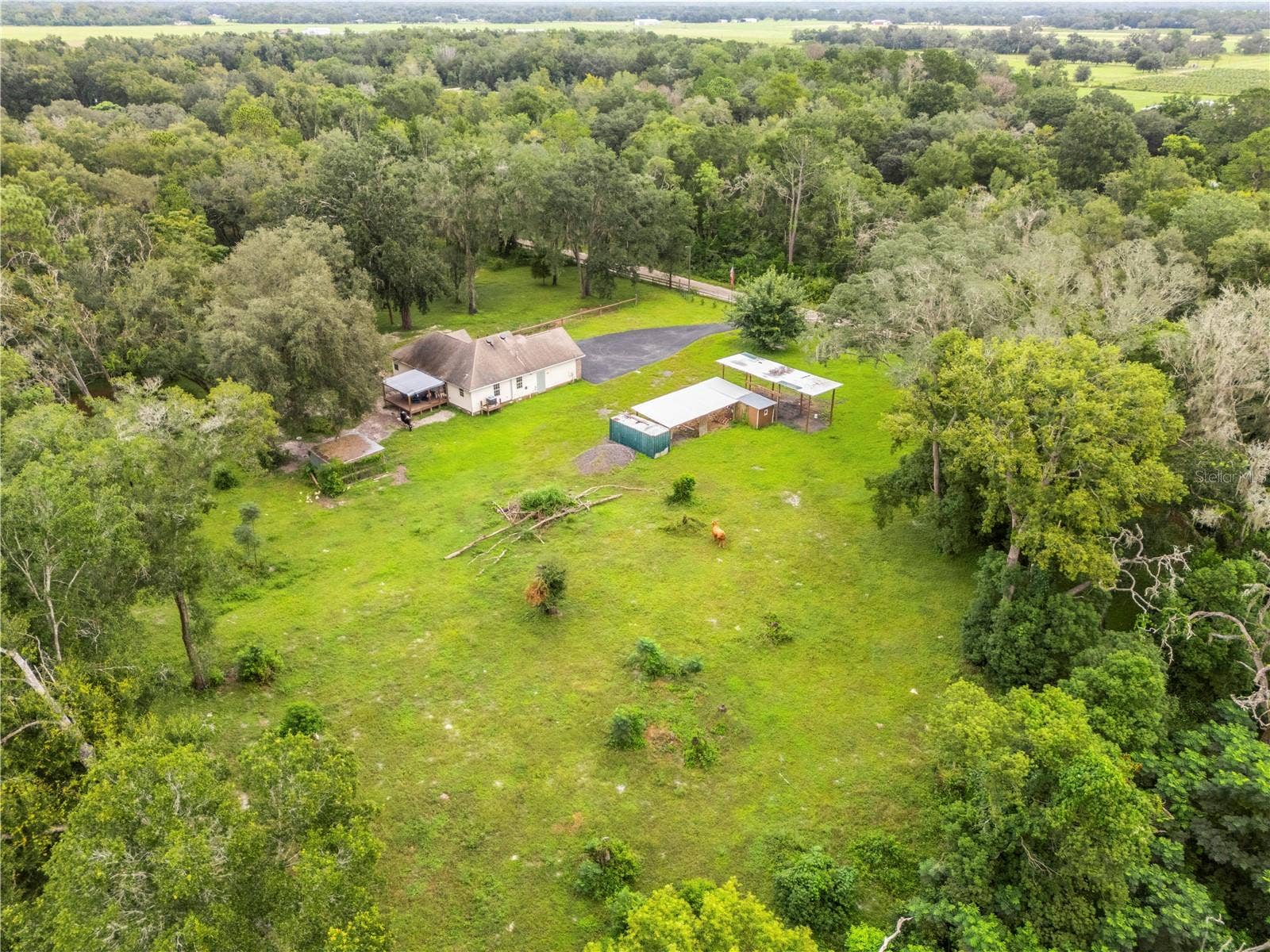 18145 BOOMING ROAD, Spring Hill, FL 34610