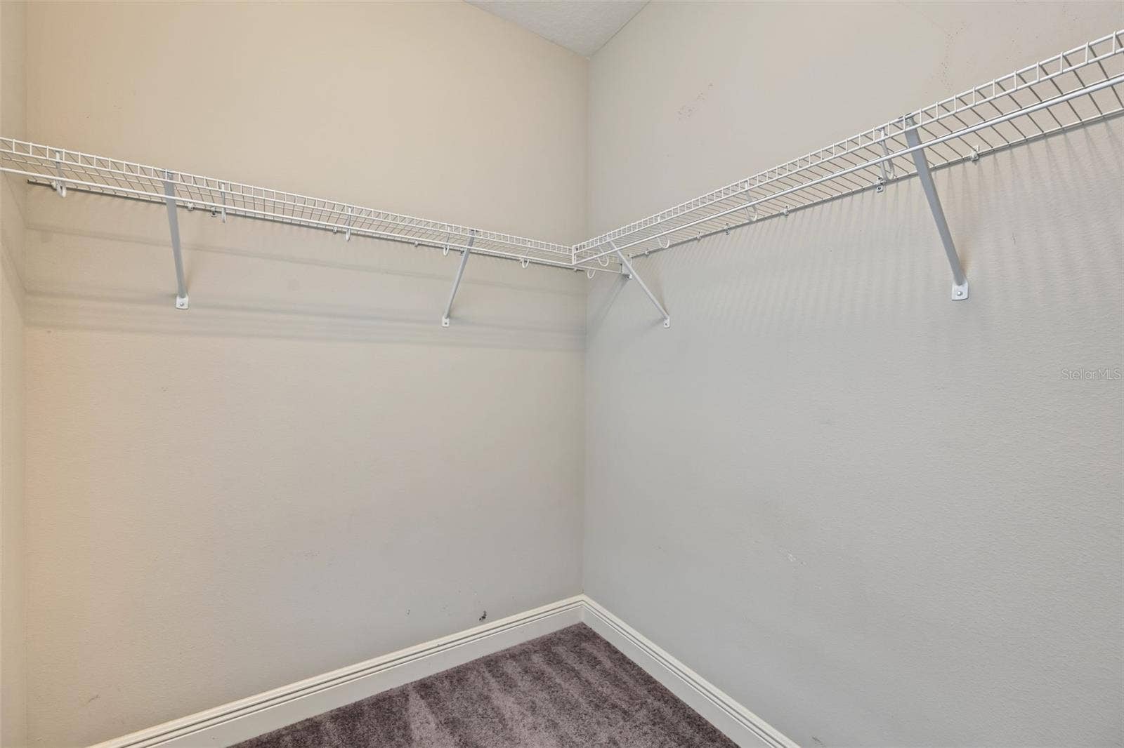 11978 CLIMBING FERN AVENUE, Riverview, FL 33579 11978 CLIMBING FERN AVENUE, Riverview, FL 33579