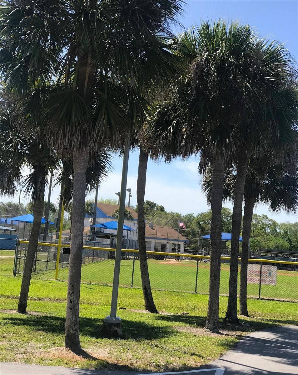 5444 GLEN IVY PLACE N, Pinellas Park, FL 33782 Baseball Field