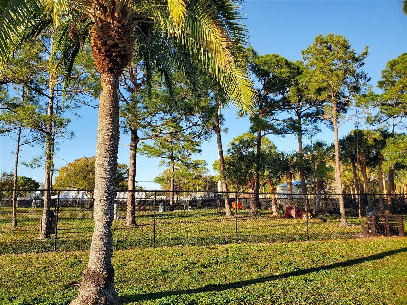 5444 GLEN IVY PLACE N, Pinellas Park, FL 33782 Freedom Lake Park