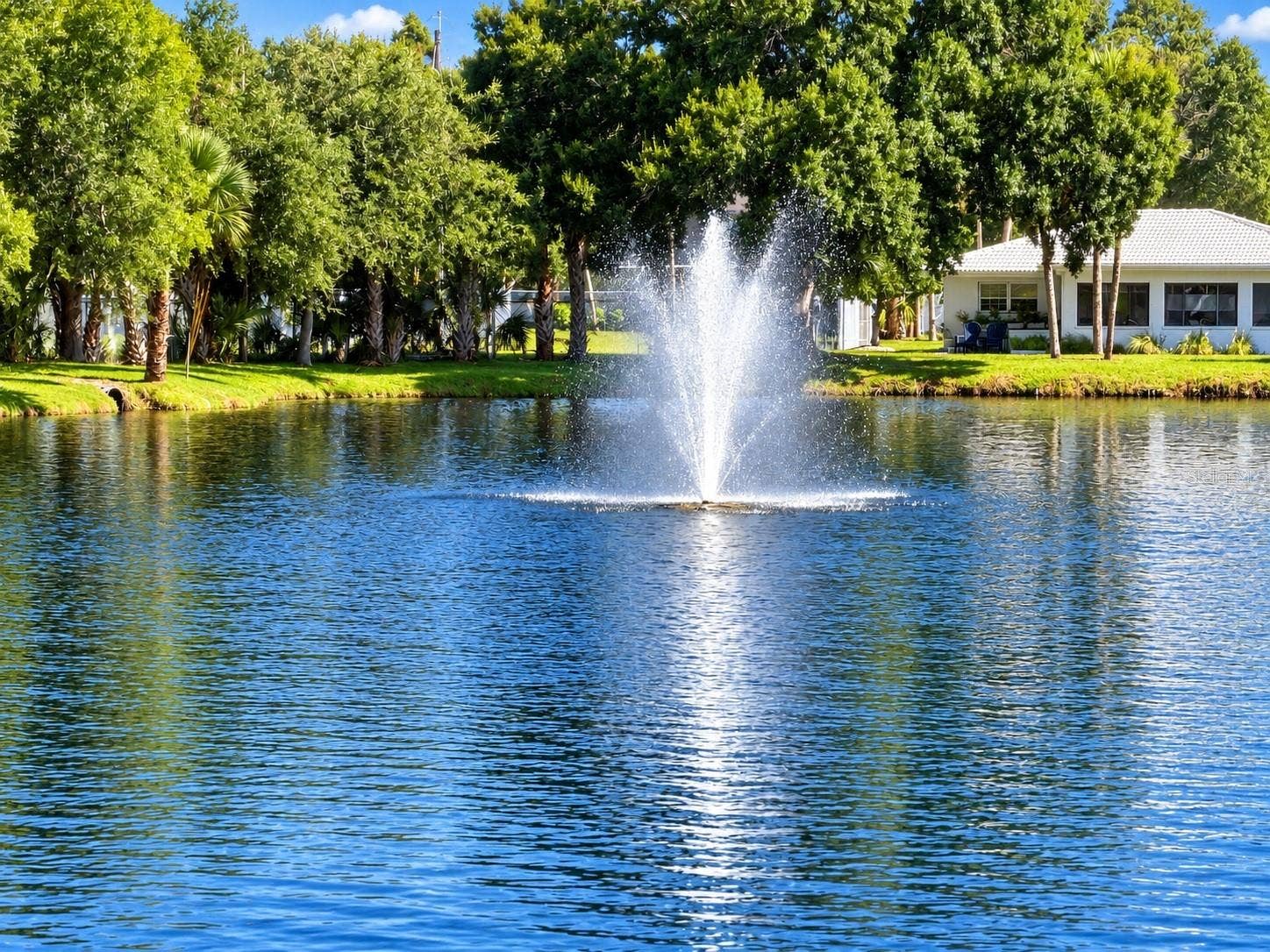 5444 GLEN IVY PLACE N, Pinellas Park, FL 33782 Community Fountain