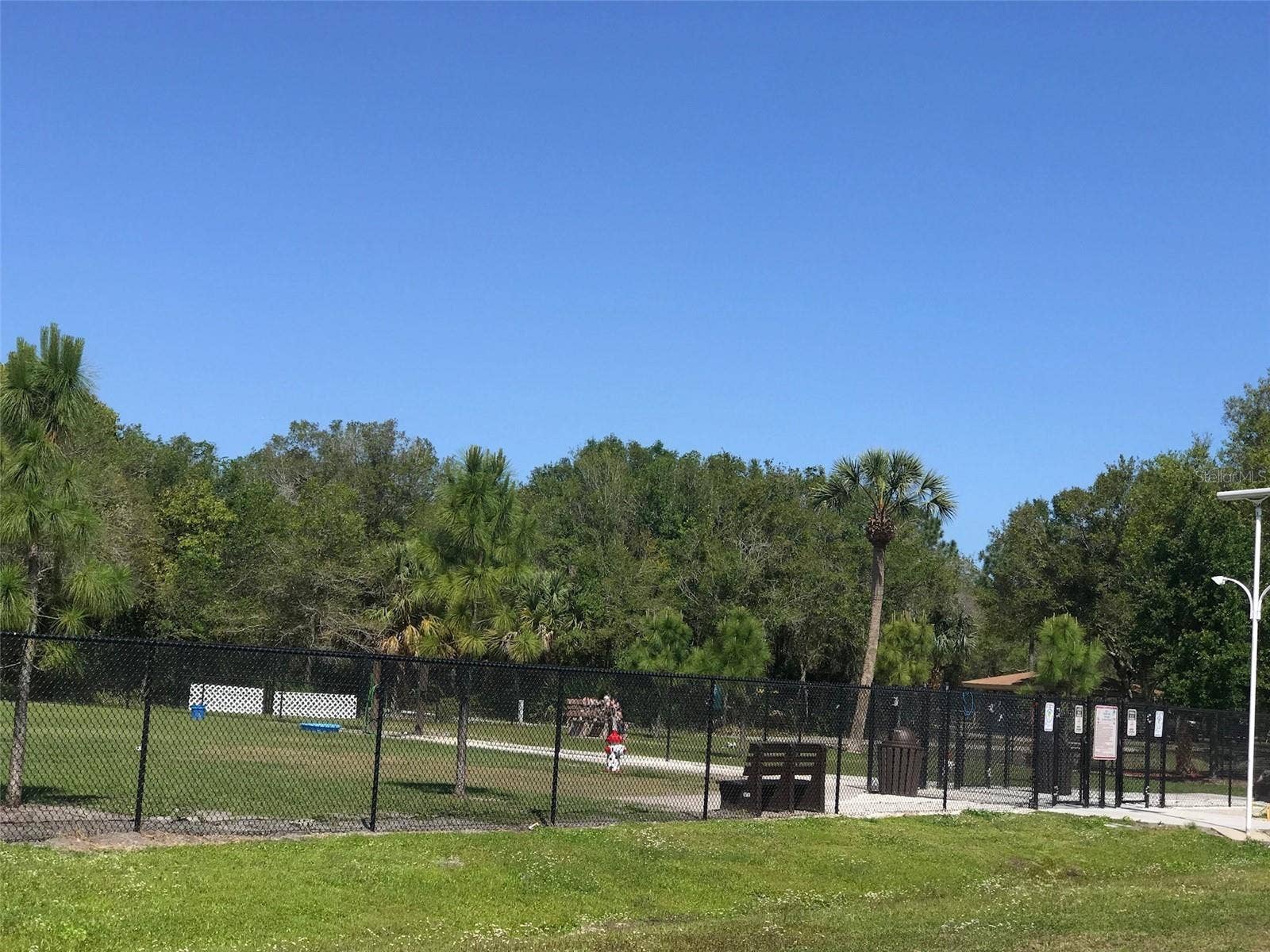 5444 GLEN IVY PLACE N, Pinellas Park, FL 33782 Pinellas Park Dog Park