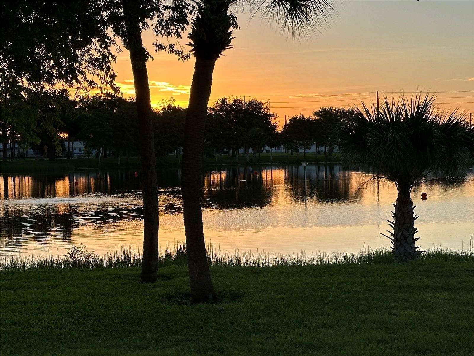 5444 GLEN IVY PLACE N, Pinellas Park, FL 33782 Freedom Lake Park