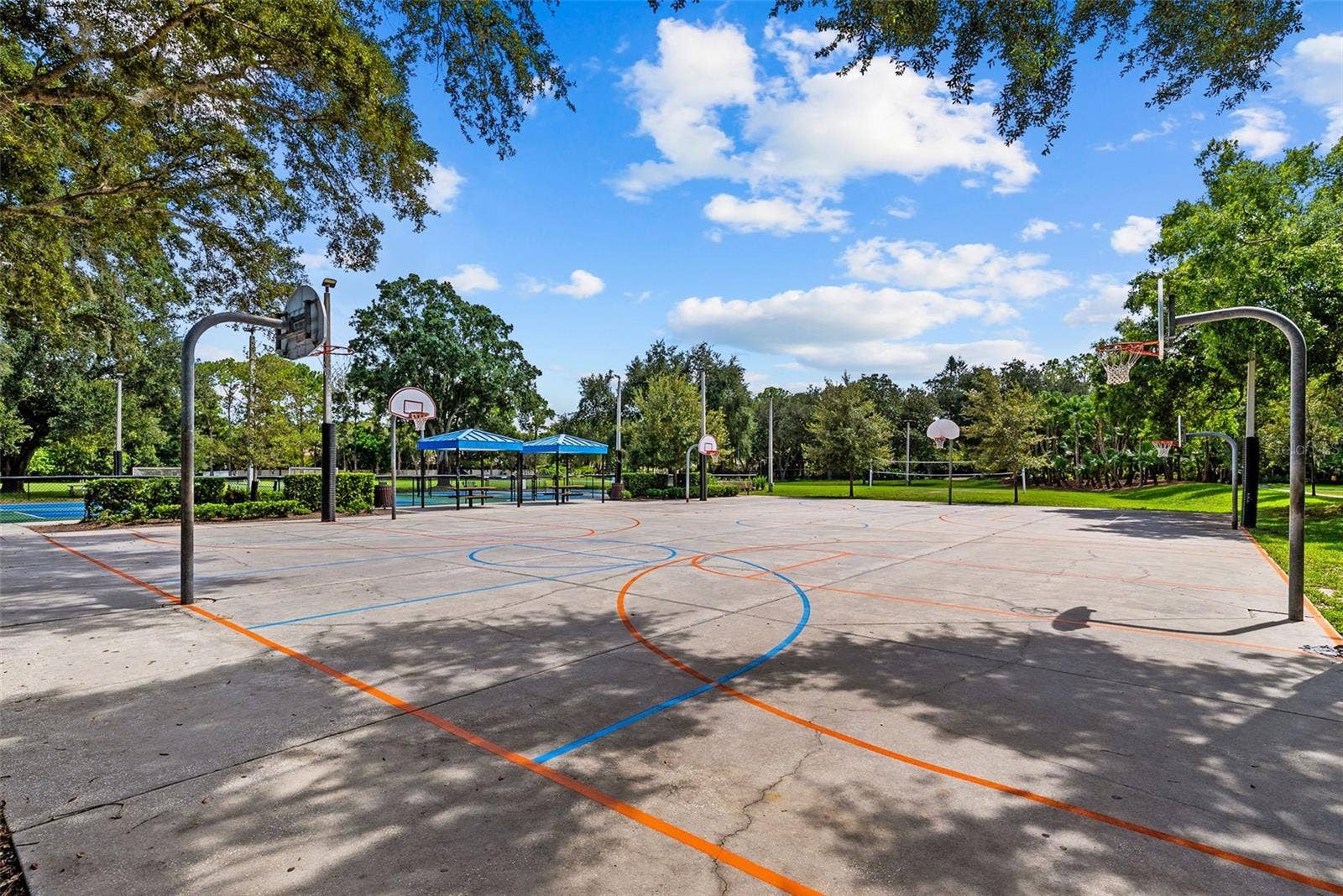 3553 FLORIAN TERRACE, Palm Harbor, FL 34685 3553 FLORIAN TERRACE, Palm Harbor, FL 34685
