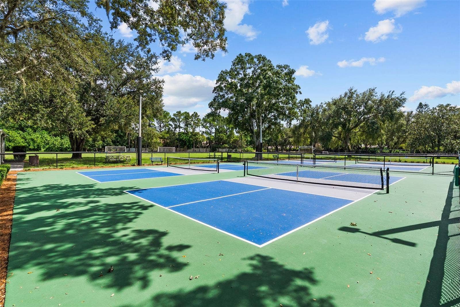 3553 FLORIAN TERRACE, Palm Harbor, FL 34685 3553 FLORIAN TERRACE, Palm Harbor, FL 34685