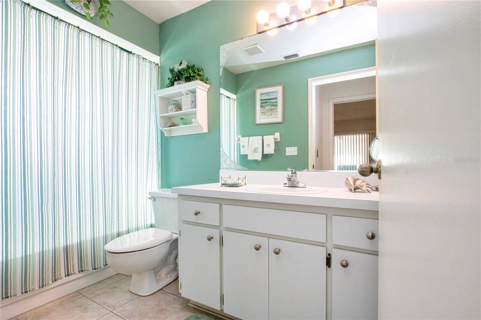 2035 PRESTANCIA LANE, Sun City Center, FL 33573 Guest Bath