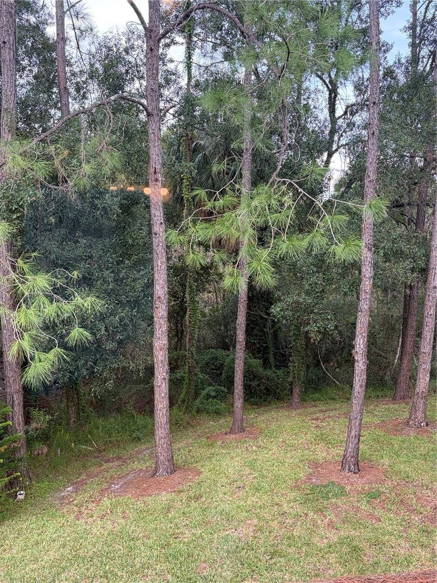 8660 HUNTERS KEY CIRCLE, Tampa, FL 33647 Backyard View