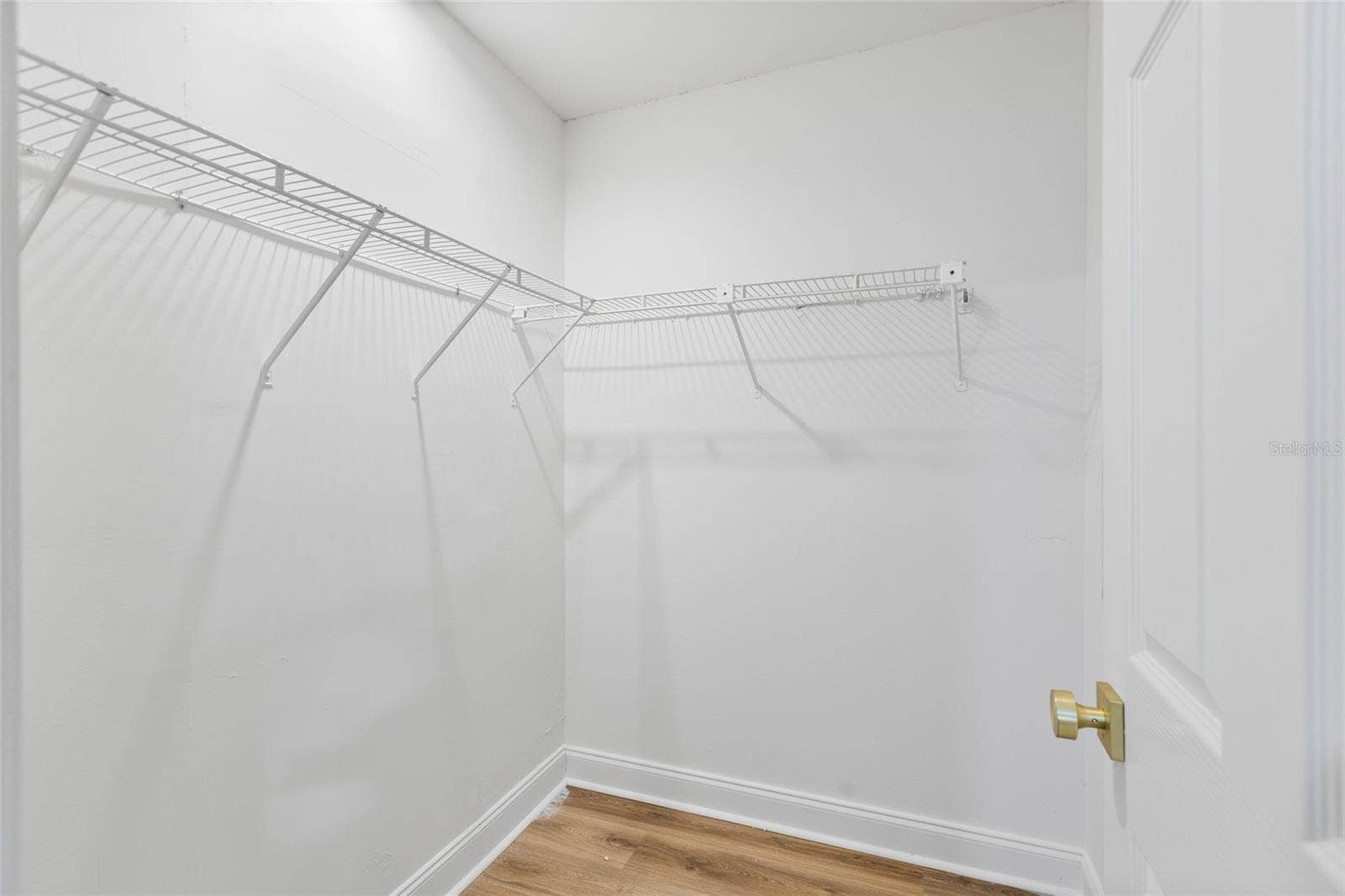 15804 IRONWARE PLACE, Tampa, FL 33624 Primary Closet