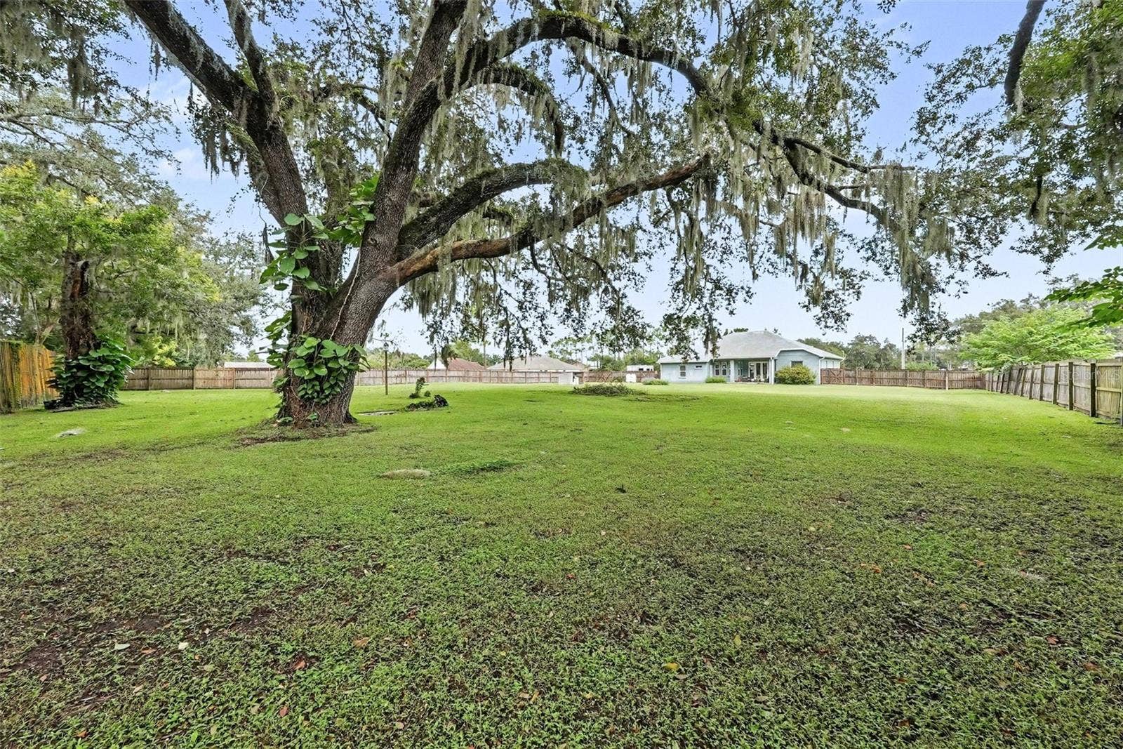 6207 STORCK ACRES LANE, Plant City, FL 33565 6207 STORCK ACRES LANE, Plant City, FL 33565